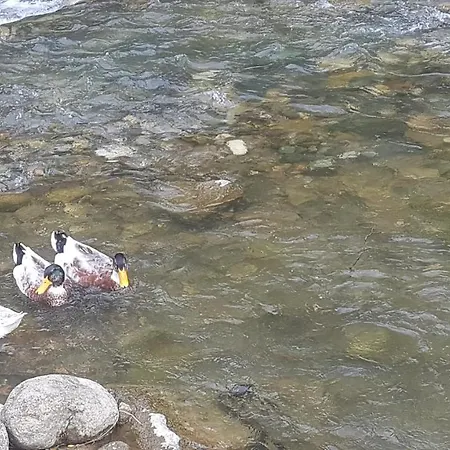 Suemela Monastery & Hamsikoy