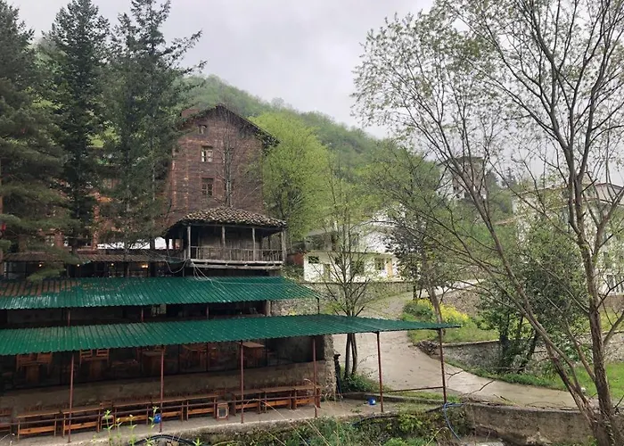 Rum i privatbostad Suemela Monastery & Hamsikoy Trabzon