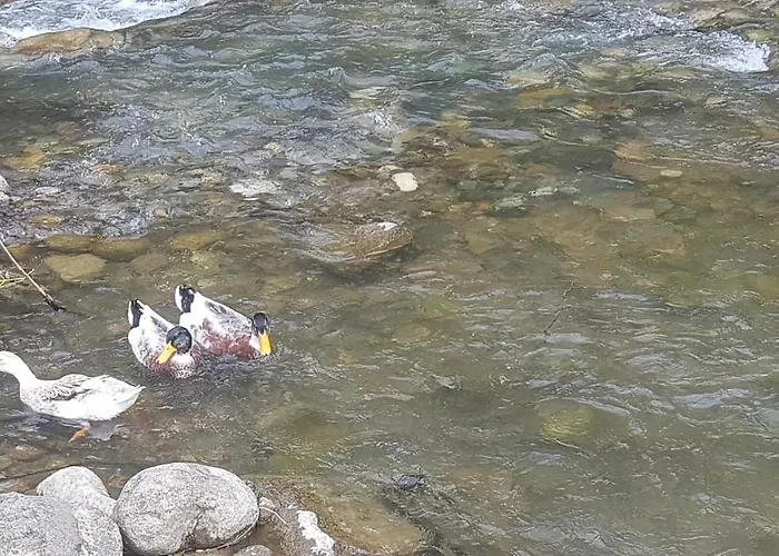 Suemela Monastery & Hamsikoy