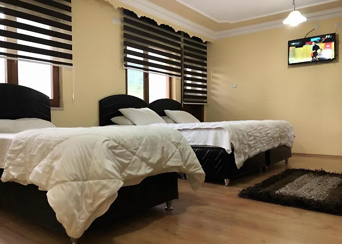 Suemela Monastery & Hamsikoy Homestay *